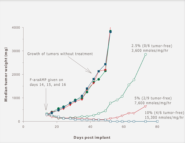 Bystander effect graph