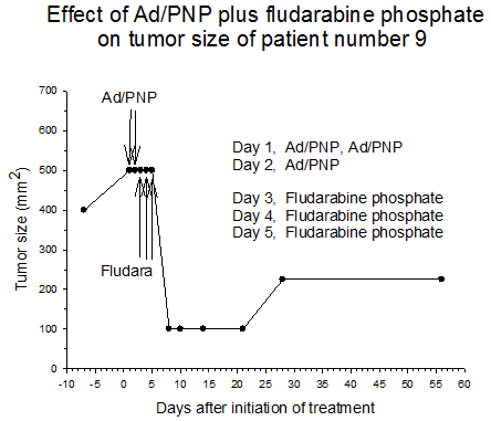 Figure3 Effect of AD/PNP plus fludarabine phosphate on tumor size of patient number 9